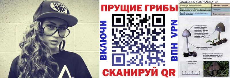 Галлюциногенные грибы ЛСД  МЕГА вход  Власиха 